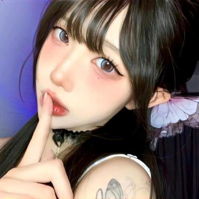 猫儿协奏曲