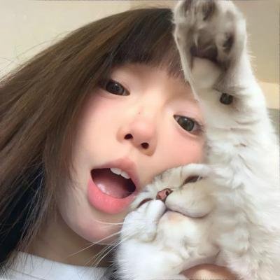 公司业务